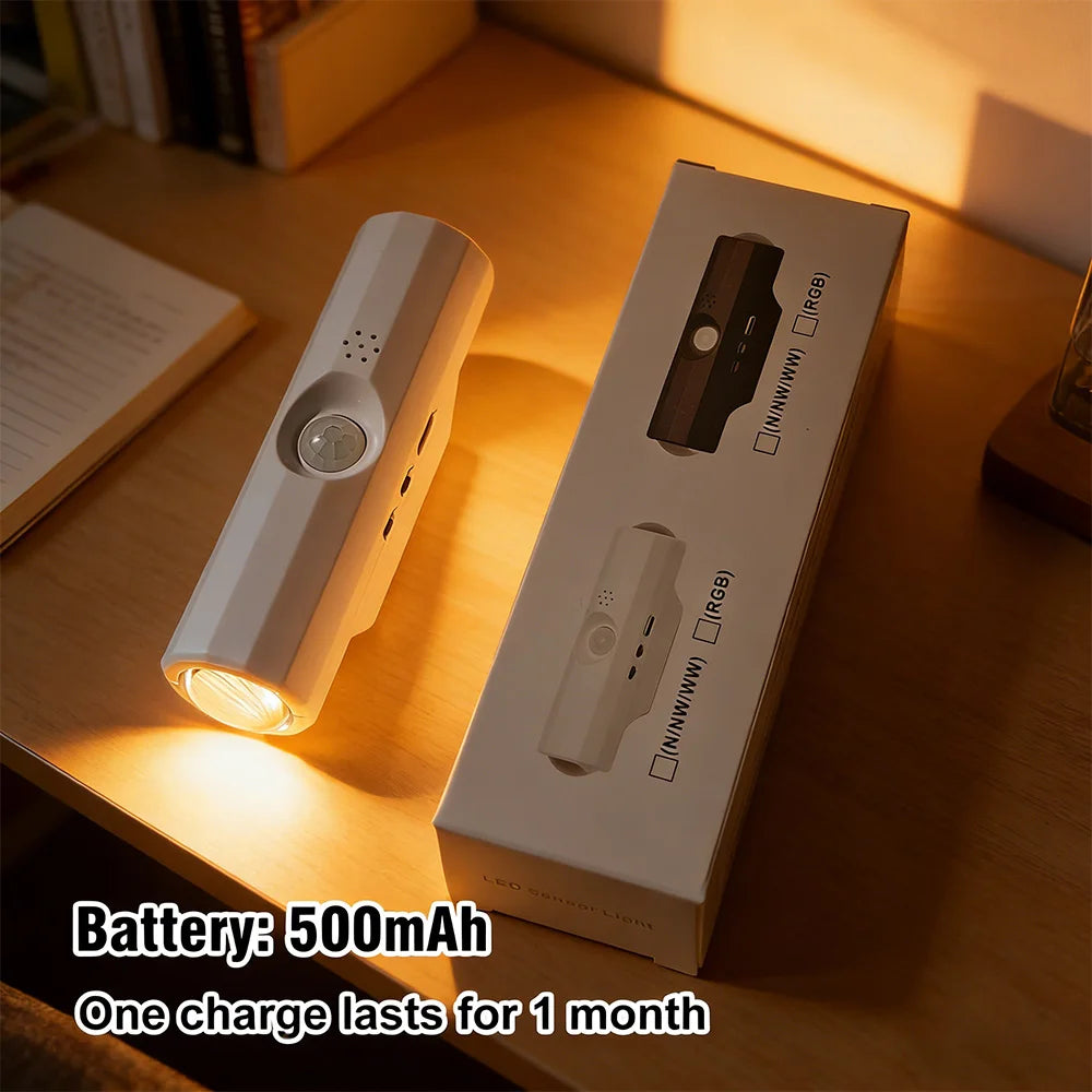 LED Motion Sensor Night Light